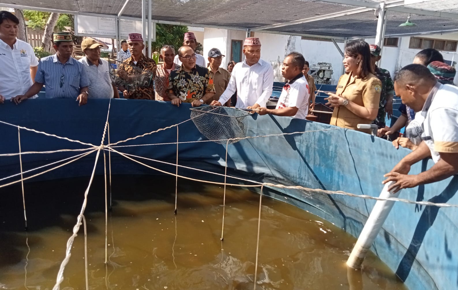 Julie Sutrisno Dorong Budidaya Ikan Lele di Manggarai Barat