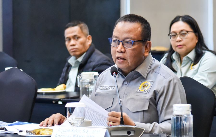 Keterbatasan Pengawasan dan SDM jadi Akar Temuan BPK di Papua