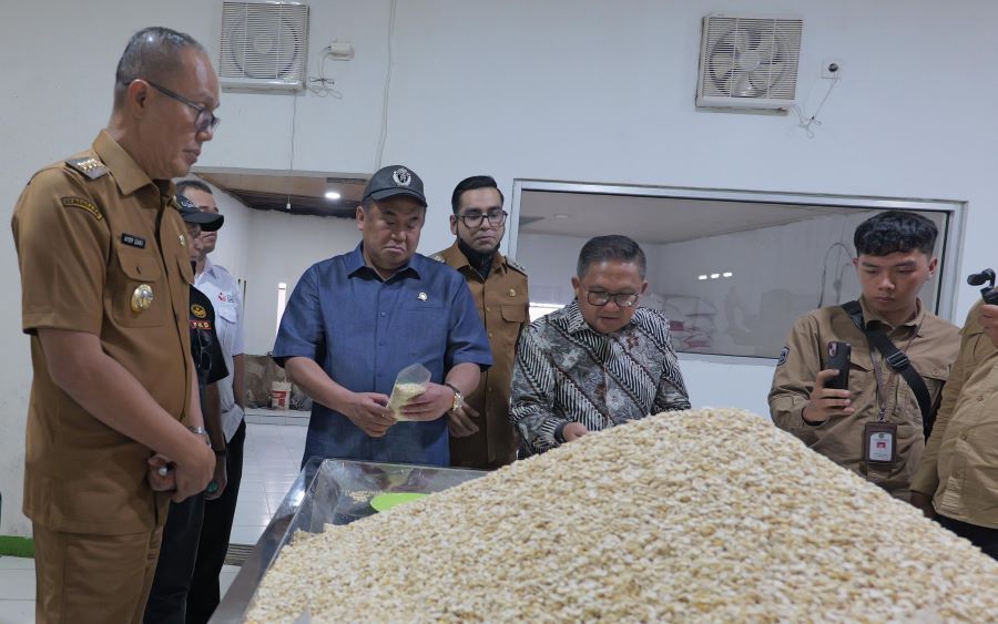 Perlu Sinergi Kuat Membangun Fondasi Ekonomi Inklusif dan Berkelanjutan