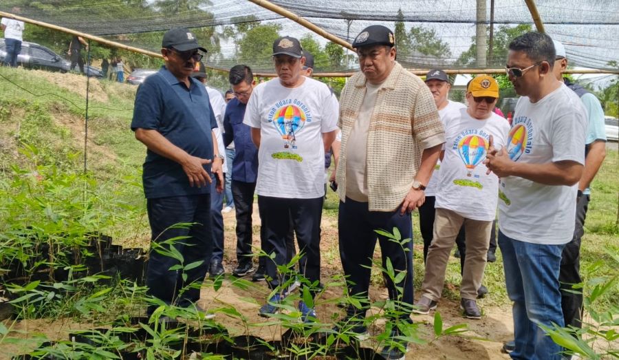 Wujud Komitmen Ekonomi Hijau, Gobel Dorong Penanaman Bambu Petung di Boalemo