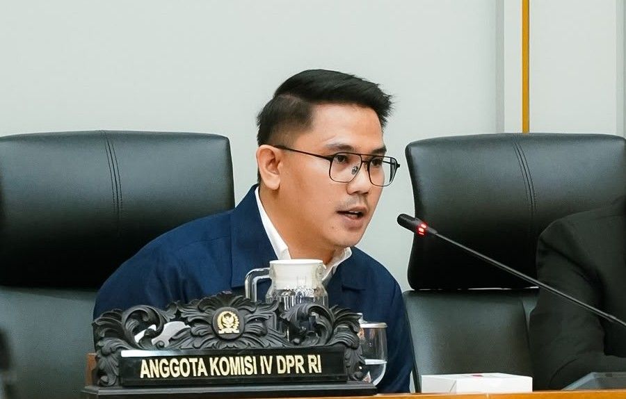 Swasembada Jangan hanya Andalkan Perluasan Lahan Pertanian