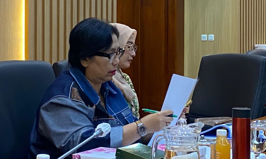 Irma Suryani Ingatkan BKKBN, Kemenkes, dan BPOM Perkuat Koordinasi