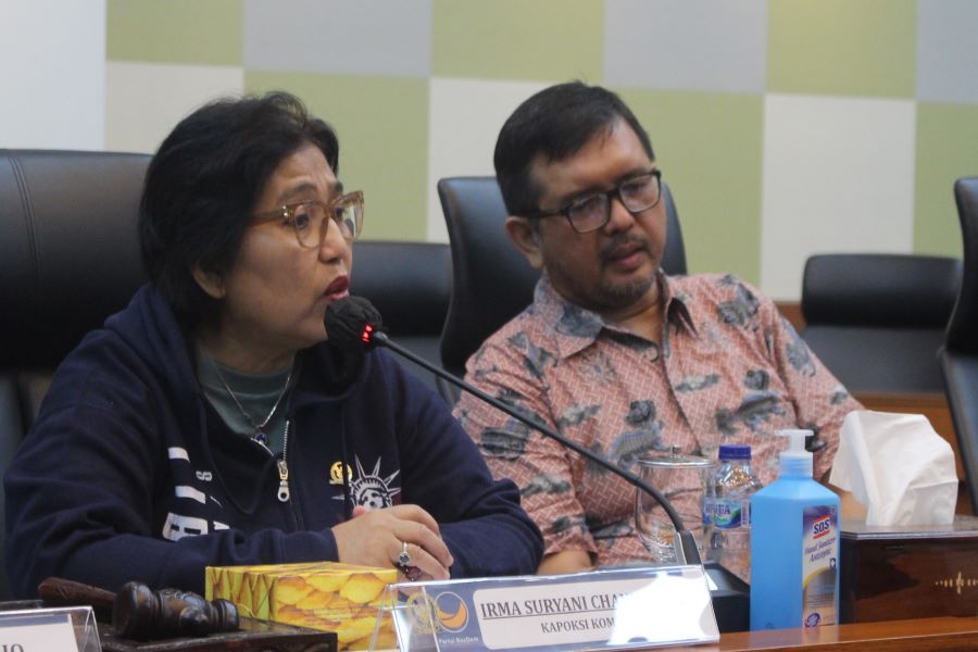 Irma Suryani Harap UU Kesehatan Meminimalisasi Perundungan Kedokteran