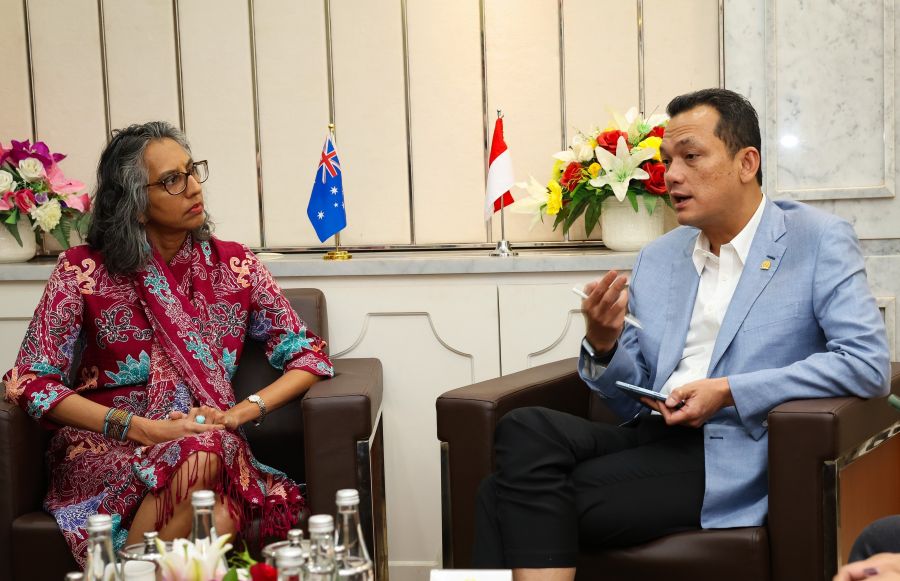 Godok RUU Satu Data Indonesia, Martin Manurung Ungkap Peran Australia