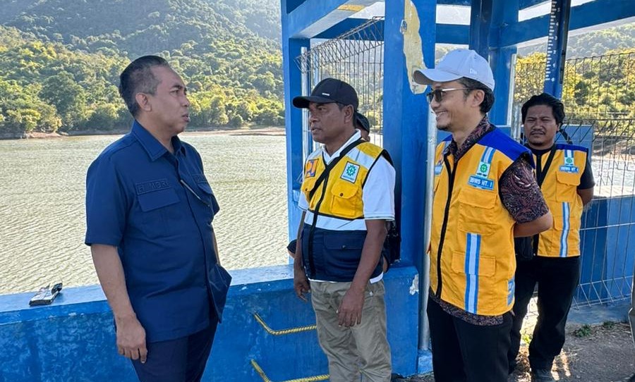 Dorong Sistem Pertanian Intensif dan Efisien untuk Wujudkan Swasembada Pangan
