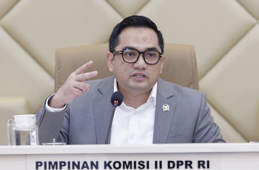 Rifqinizamy Dorong Proteksi Khusus Bank Daerah dalam RUU BUMD